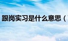 跟岗实习是什么意思（顶岗实习是什么意思）