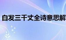 白发三千丈全诗意思解释（白发三千丈全诗）
