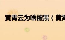 黄霄云为啥被黑（黄霄云为什么被全网黑）