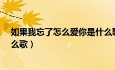 如果我忘了怎么爱你是什么歌?（如果我忘了怎么爱你是什么歌）