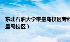 东北石油大学秦皇岛校区专科录取分数线（东北石油大学秦皇岛校区）