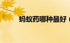 蚂蚁药哪种最好（蚂蚁药哪种好）