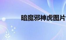暗魔邪神虎图片（暗魔邪神虎）