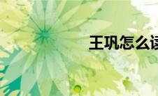 王巩怎么读（王巩）