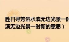 胜日寻芳泗水滨无边光景一时新胜日的意思（胜日寻芳泗水滨无边光景一时新的意思）