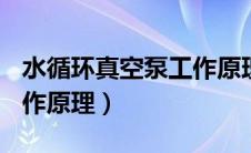 水循环真空泵工作原理ppt（水循环真空泵工作原理）