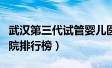 武汉第三代试管婴儿医院排行榜（试管婴儿医院排行榜）