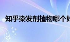 知乎染发剂植物哪个好（染发剂植物正品）