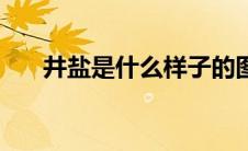 井盐是什么样子的图片（井盐是什么）