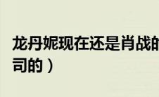 龙丹妮现在还是肖战的老板吗（肖战是哪个公司的）