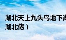 湖北天上九头鸟地下湖北佬（天上九头鸟地下湖北佬）