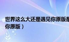 世界这么大还是遇见你原版是哪国的（世界这么大还是遇见你原版）