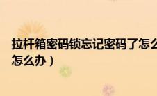 拉杆箱密码锁忘记密码了怎么打开（拉杆箱密码锁忘记密码怎么办）