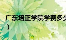广东培正学院学费多少钱（广东培正学院学费）