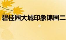 碧桂园大城印象锦园二期（碧桂园大城印象）