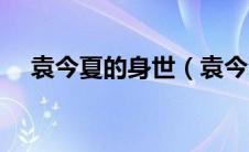 袁今夏的身世（袁今夏的历史原型是谁）