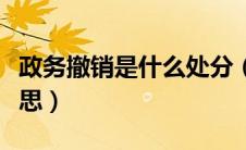 政务撤销是什么处分（政务撤职处分是什么意思）