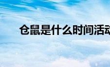 仓鼠是什么时间活动（大仓鼠是什么）
