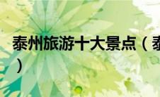 泰州旅游十大景点（泰州旅游攻略必玩的景点）