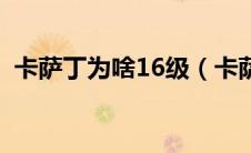 卡萨丁为啥16级（卡萨丁16级有什么变化）