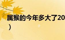 属猴的今年多大了2024年（属猴的今年多大）