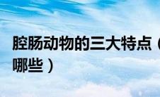 腔肠动物的三大特点（腔肠动物的主要特征有哪些）