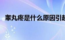 睾丸疼是什么原因引起的怎么治（睾丸疼）