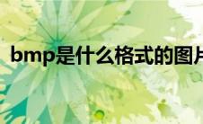 bmp是什么格式的图片（bmp是什么格式）
