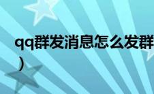 qq群发消息怎么发群员（qq群发消息怎么发）
