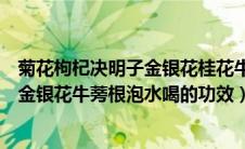 菊花枸杞决明子金银花桂花牛蒡根的功效（决明子菊花枸杞金银花牛蒡根泡水喝的功效）