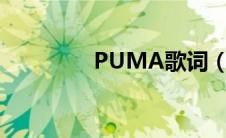 PUMA歌词（puma歌词）