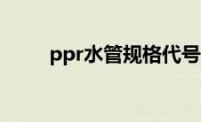 ppr水管规格代号（ppr水管规格）