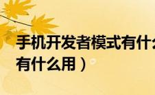 手机开发者模式有什么用?（手机开发者模式有什么用）