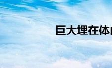 巨大埋在体内边走边动