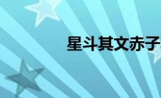 星斗其文赤子其人（星斗）
