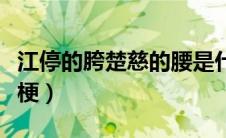 江停的胯楚慈的腰是什么梗（楚慈的腰是什么梗）