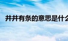 井井有条的意思是什么（井井有条的意思）