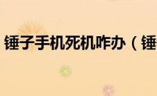 锤子手机死机咋办（锤子手机死机如何重启）