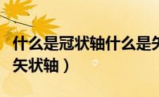 什么是冠状轴什么是矢状轴（什么是冠状轴和矢状轴）
