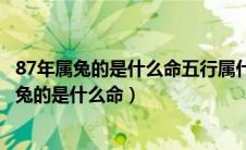 87年属兔的是什么命五行属什么适合做木雕生意吗（87年属兔的是什么命）