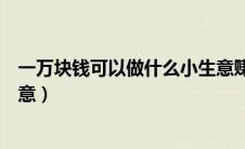 一万块钱可以做什么小生意赚钱（一万块钱可以做什么小生意）