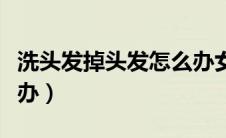 洗头发掉头发怎么办女生（洗头发掉头发怎么办）