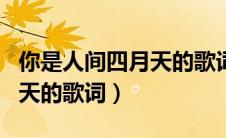 你是人间四月天的歌词小阿枫（你是人间四月天的歌词）