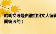 昭明文选是由谁组织文人编辑的（昭明文选是谁组织文人共同编选的）