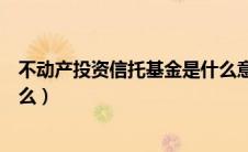 不动产投资信托基金是什么意思（不动产投资信托基金是什么）