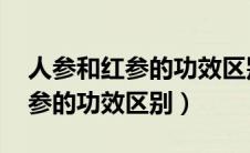 人参和红参的功效区别 哪个更好（人参和红参的功效区别）