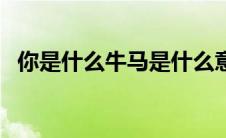 你是什么牛马是什么意思（你是什么牛马）