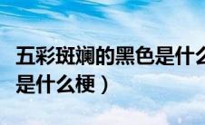 五彩斑斓的黑色是什么梗啊（五彩斑斓的黑色是什么梗）