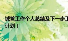 城管工作个人总结及下一步工作计划（城管工作总结和工作计划）