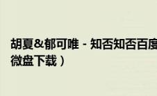 胡夏&郁可唯 - 知否知否百度云（胡夏郁可唯知否知否mp3微盘下载）